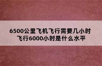 6500公里飞机飞行需要几小时 飞行6000小时是什么水平